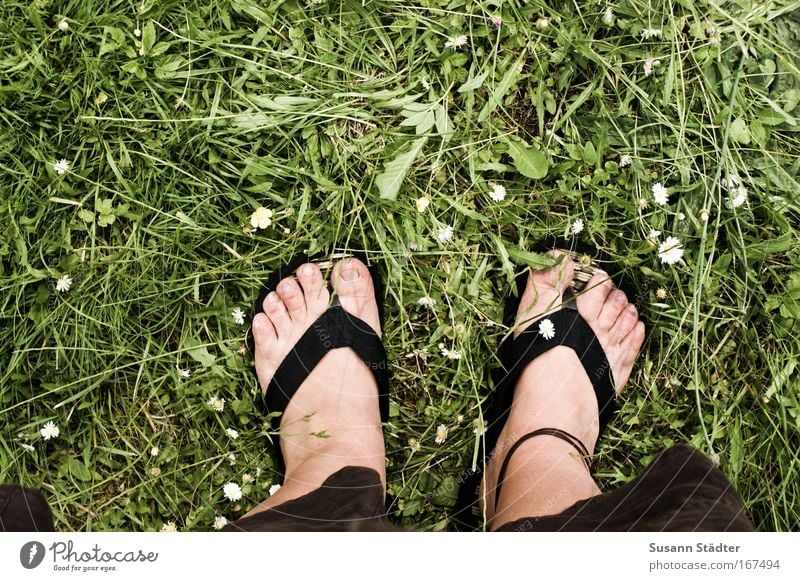 Sonne an?FlipFlops an! Farbfoto Gedeckte Farben Außenaufnahme Textfreiraum links Textfreiraum oben Textfreiraum unten Textfreiraum Mitte Tag Schatten Kontrast