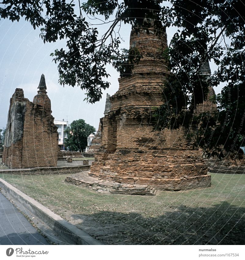 Reiselust Farbfoto Tag Thaifood Ferien & Urlaub & Reisen Tourismus Ferne Freiheit Meer Insel Museum Landschaft Schönes Wetter Wärme Baum Garten Park