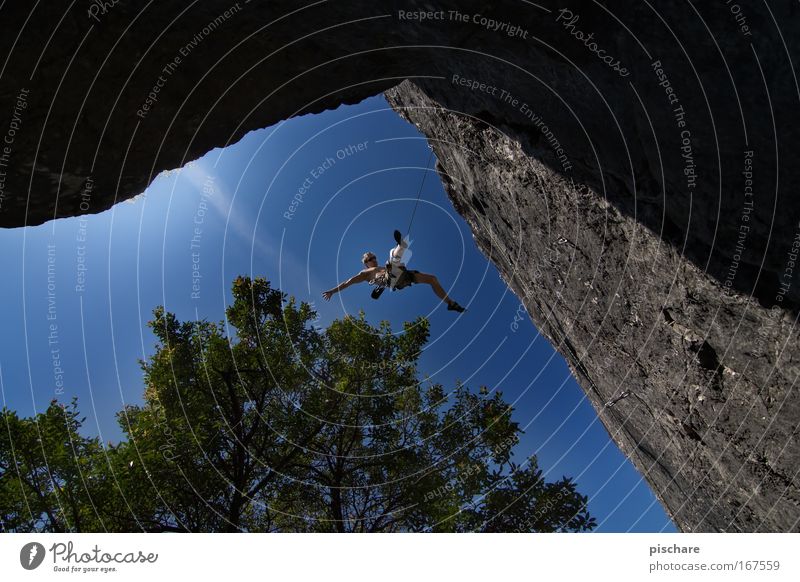 nightmares about falling? pt.2 Freizeit & Hobby Klettern Bergsteigen Sportler Bergsteiger Mann Erwachsene Himmel Schönes Wetter Baum Felsen Berge u. Gebirge