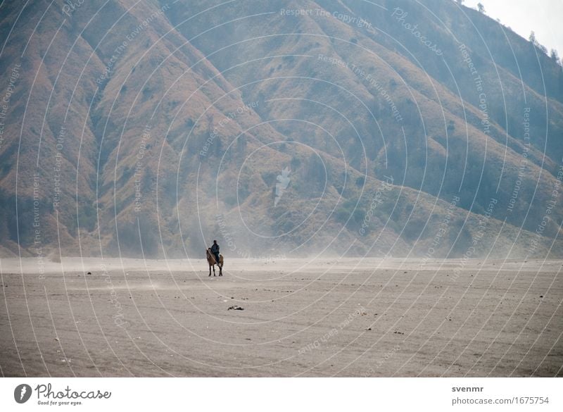 Lonely Rider exotisch ruhig Reiten Ferien & Urlaub & Reisen Ausflug Abenteuer Ferne Freiheit 1 Mensch Natur Landschaft Erde Sand Berge u. Gebirge Vulkan Insel