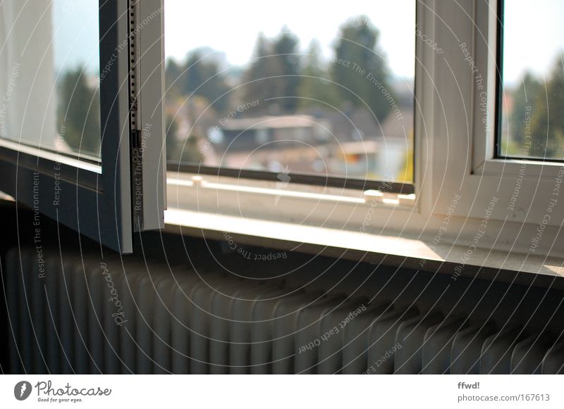 Frühlingserwachen Farbfoto Innenaufnahme Tag Schatten Sonnenlicht Wohnung Raum Wohnzimmer Schlafzimmer Heizung Heizkörper Ruhestand Feierabend Schönes Wetter