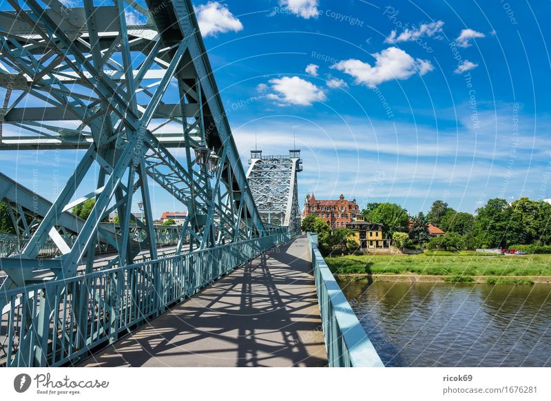 Blick über die Elbe auf Loschwitz bei Dresden Ferien & Urlaub & Reisen Tourismus Haus Wolken Baum Park Fluss Hauptstadt Brücke Gebäude Architektur