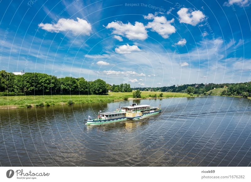 Fahrgastschiff auf der Elbe bei Dresden Ferien & Urlaub & Reisen Tourismus Wasser Wolken Baum Fluss Hauptstadt Architektur Sehenswürdigkeit Dampfschiff blau