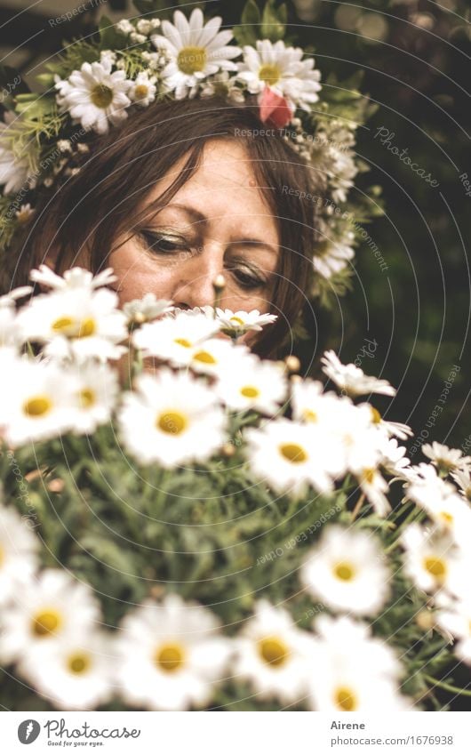 AST 9 | in voller Blüte Feste & Feiern Hochzeit Geburtstag Mensch feminin Erwachsene Kopf Haare & Frisuren Gesicht 1 Blume Blumenstrauß Blumenkranz Haarschmuck