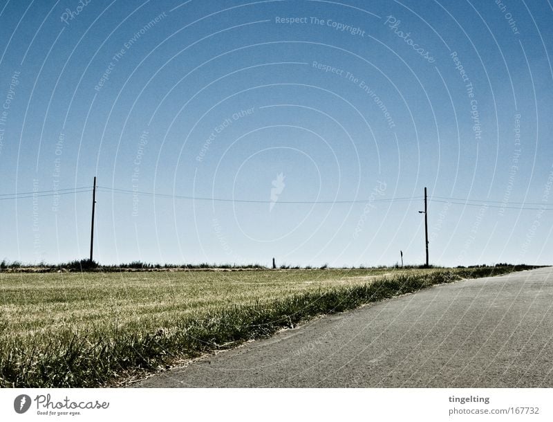 am horizont Farbfoto Gedeckte Farben Außenaufnahme Textfreiraum oben Tag Natur Landschaft Wolkenloser Himmel Horizont Feld Verkehrswege Wege & Pfade einfach