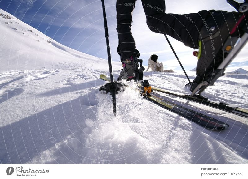 Skitour Farbfoto Außenaufnahme Textfreiraum unten Tag Licht Schatten Kontrast Sonnenlicht Froschperspektive Freizeit & Hobby Winter Winterurlaub