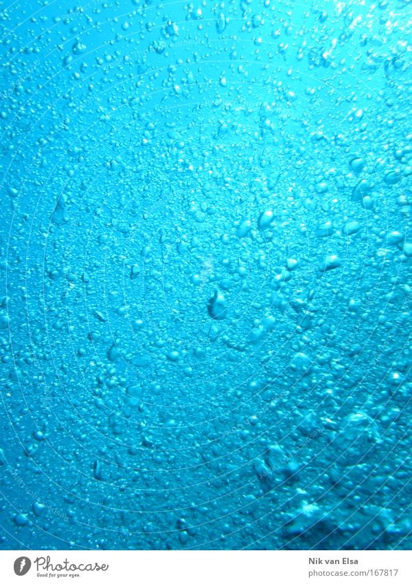 Deep Blue Sea Farbfoto Außenaufnahme Unterwasseraufnahme abstrakt Muster Strukturen & Formen Tag tauchen Natur Urelemente Luft Wasser Meer blau Wasserblase