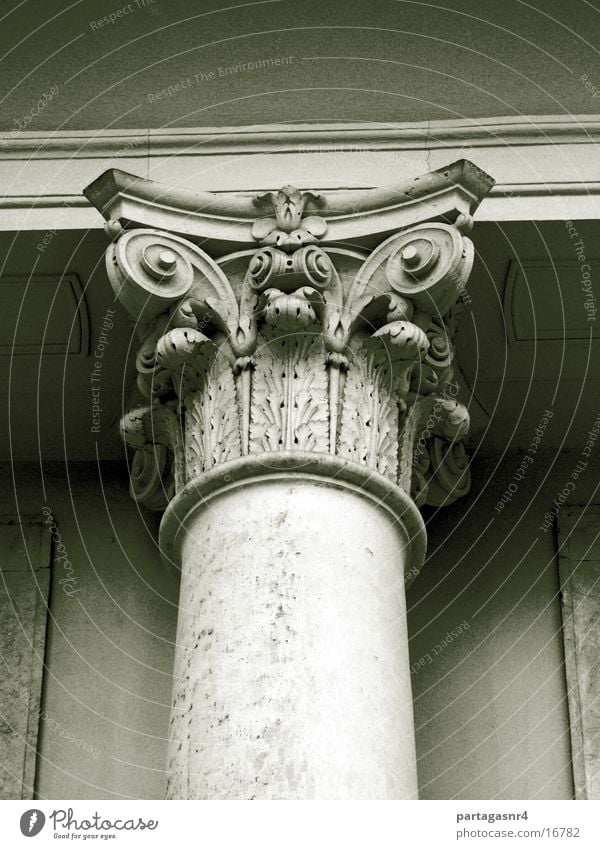 Säule mit Kapitell Sandstein Architektur japanisches Palais DD