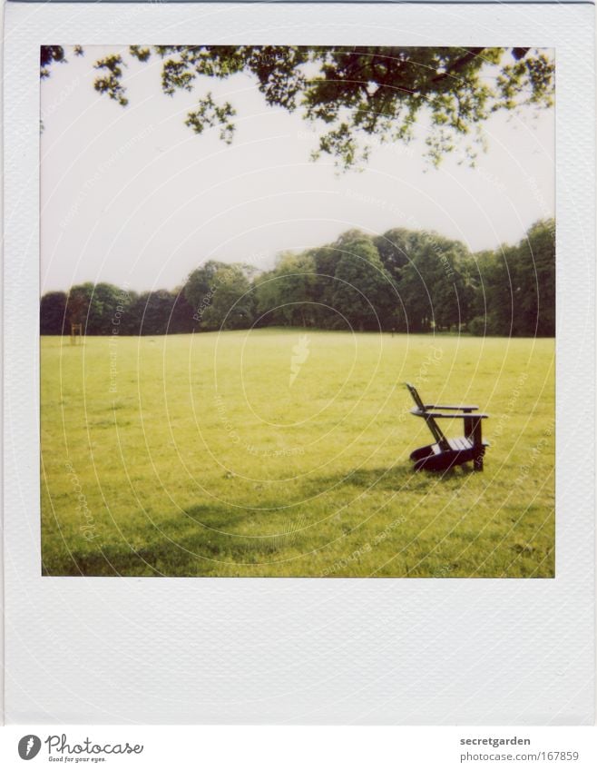 [HH09.3/4] fünf meter vor dem stuhl im gras Farbfoto Gedeckte Farben Außenaufnahme Polaroid Menschenleer Textfreiraum links Textfreiraum unten