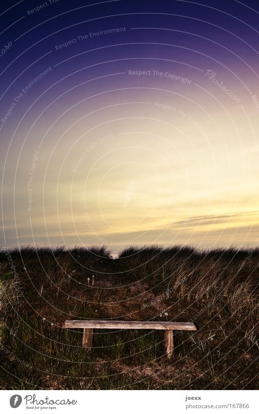 Sitz! Farbfoto Gedeckte Farben Außenaufnahme Textfreiraum oben Textfreiraum Mitte Dämmerung Kontrast Sonnenaufgang Sonnenuntergang Vorderansicht Natur