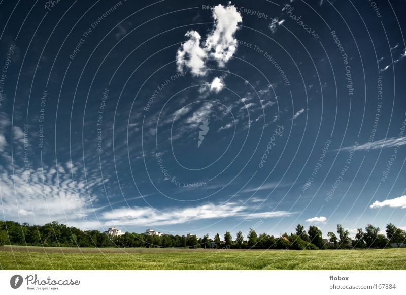 Vorstadt Sommer wandern Umwelt Natur Landschaft Pflanze Himmel Wolken Klimawandel Wiese Feld Wald groß blau grün Einsamkeit Idylle Umweltschutz Klimaschutz