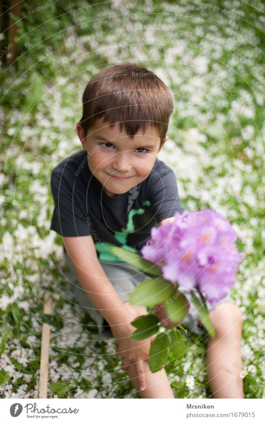 Blüten Kind Kleinkind Junge Bruder Kindheit 1 Mensch 3-8 Jahre Natur Frühling Freude Glück Fröhlichkeit Warmherzigkeit Sympathie Freundschaft Zusammensein Liebe