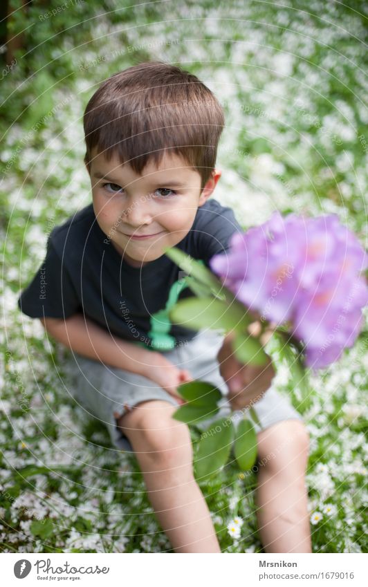 für dich Kind Kleinkind Junge Familie & Verwandtschaft Kindheit Leben 1 Mensch 3-8 Jahre Natur Frühling Blüte brünett kurzhaarig Freude Glück Fröhlichkeit