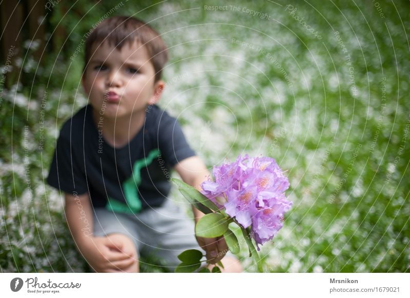 for you Kleinkind Junge Kindheit Leben 1 Mensch 3-8 Jahre Natur Freude Glück Fröhlichkeit Vertrauen Sicherheit Geborgenheit Warmherzigkeit Sympathie