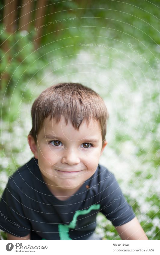 Oh boy Kind Kleinkind Junge Kindheit Leben 1 Mensch 3-8 Jahre brünett Freundlichkeit Fröhlichkeit Glück schön klein sitzen Blick Blumenteppich Wiese