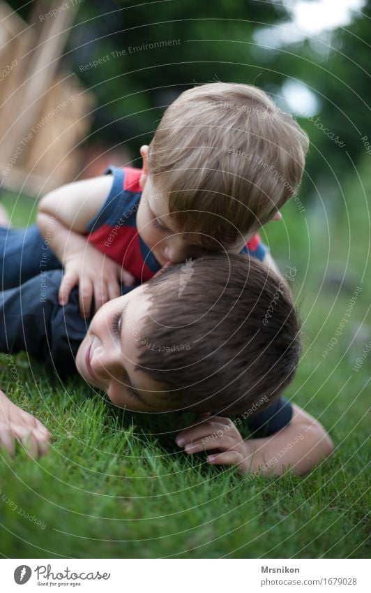 Rangelei Kind Kleinkind Junge Geschwister Bruder Familie & Verwandtschaft Kindheit Leben 2 Mensch Kindergruppe 1-3 Jahre 3-8 Jahre brünett blond kurzhaarig