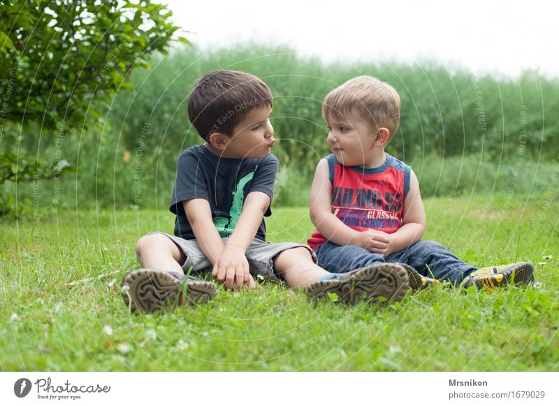 Brüder Mensch Kind Kleinkind Junge Geschwister Bruder Familie & Verwandtschaft Kindheit Leben 2 Kindergruppe 1-3 Jahre 3-8 Jahre Natur Frühling Pflanze Garten