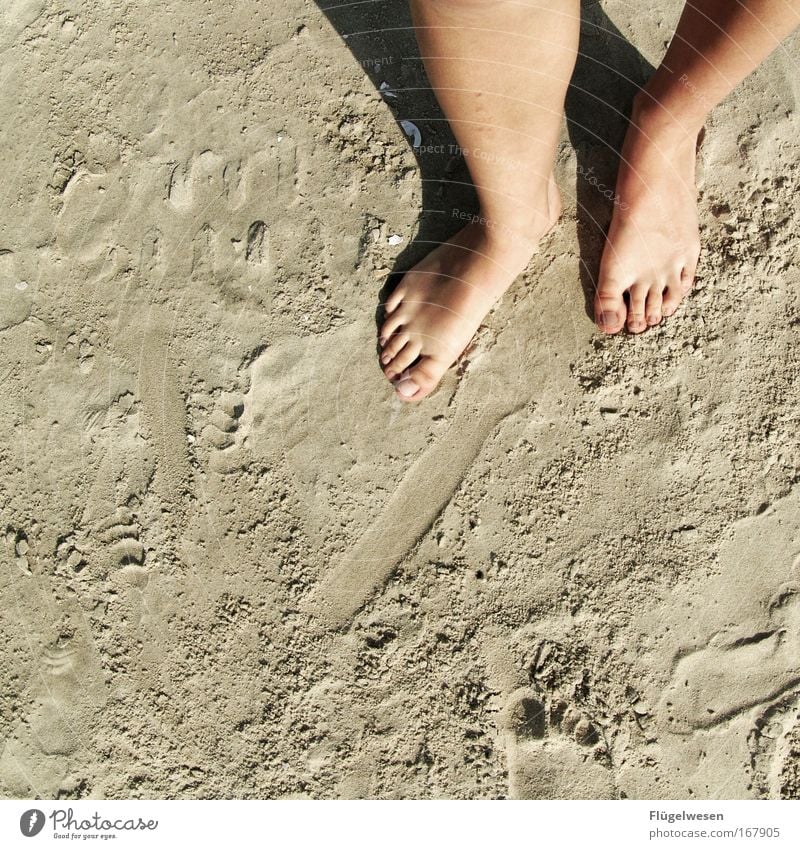 Strand am Fuß Farbfoto Außenaufnahme Textfreiraum unten Tag Wellness Wohlgefühl Zufriedenheit Ferien & Urlaub & Reisen Tourismus Sommer Sonnenbad Meer Erde Sand