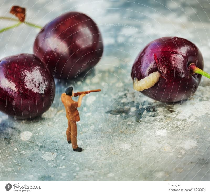 Miniwelten - Da ist der Wurm drin! Lebensmittel Frucht Ernährung Bioprodukte Vegetarische Ernährung Jagd Gartenarbeit Dienstleistungsgewerbe Mensch maskulin