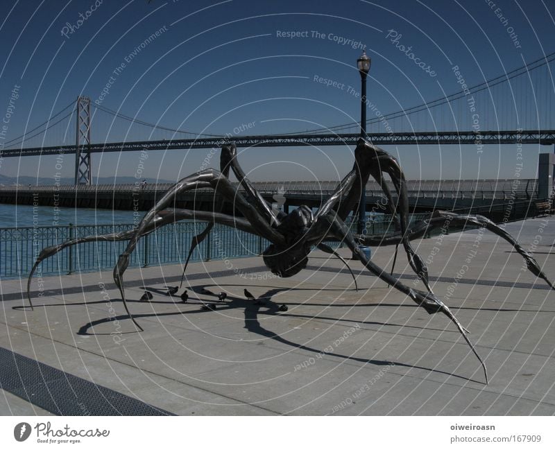 cityspider Farbfoto Außenaufnahme Menschenleer Textfreiraum oben Tag Abend Nacht Kontrast Zentralperspektive Kunst Kunstwerk Skulptur Hafenstadt Brücke