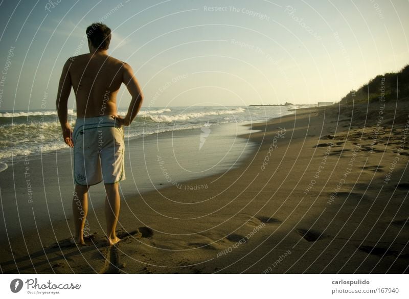 Gedeckte Farben Außenaufnahme maskulin 1 Mensch Natur Landschaft Sommer Wellen Küste Strand Bucht Meer Schwimmen & Baden Surfer Marbella Spanien Andalusien