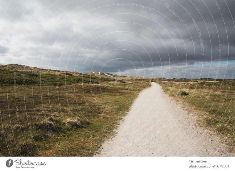 Da kommt was! Ferien & Urlaub & Reisen Umwelt Natur Landschaft Himmel Wolken Düne Dünengras Dänemark Wege & Pfade bedrohlich grau grün Gefühle Ferne unterwegs