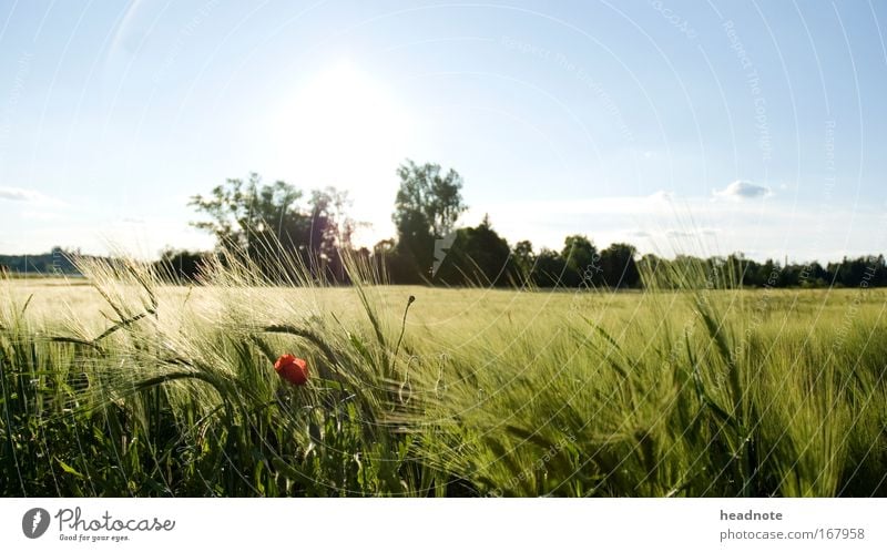 Draussen ist das neue drinnen Farbfoto mehrfarbig Außenaufnahme Menschenleer Textfreiraum oben Tag Abend Licht Schatten Kontrast Reflexion & Spiegelung