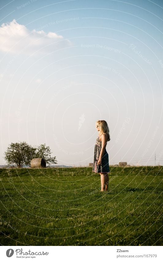 weitsicht Farbfoto Außenaufnahme Blick nach vorn Mensch feminin 1 18-30 Jahre Jugendliche Erwachsene Natur Landschaft Horizont Wiese Kleid blond Denken genießen