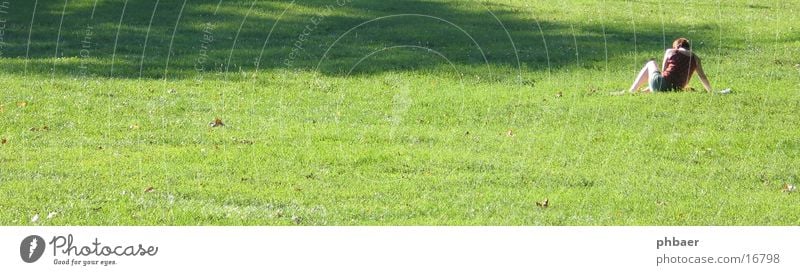 Sitzend im Herrngarten Frau lesen Rückseite Darmstadt Park grün Pflanze Gras Wiese Licht Freiraum sitzen Rücken Natur Rasen Erholung Sonne Schatten