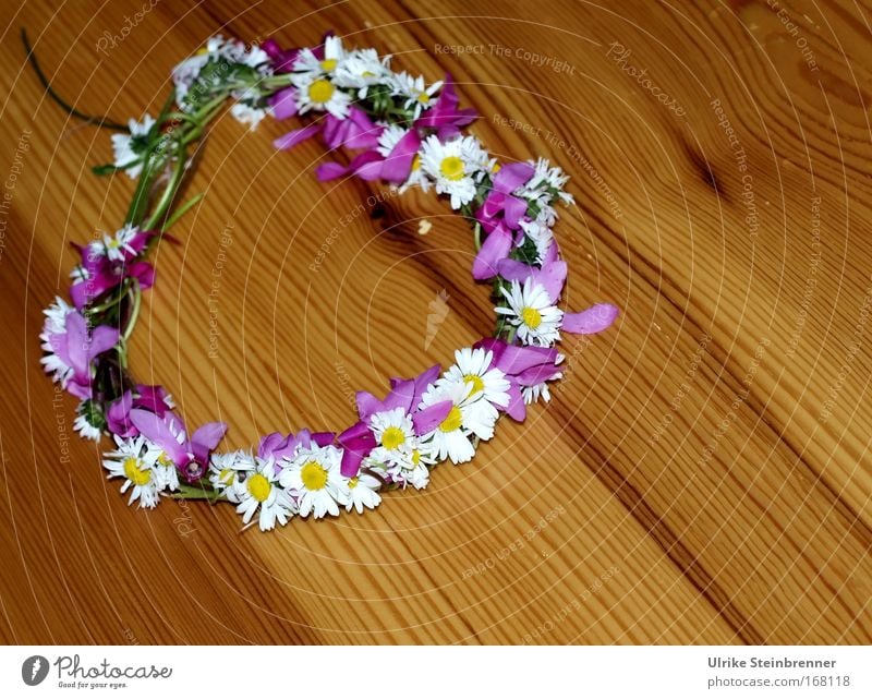 Geflochtener Blumenkranz aus Wicken und Margariten zum Muttertag auf Holztisch Freude Basteln Handarbeit Geburtstag Natur Pflanze Frühling Blüte Schnur Duft