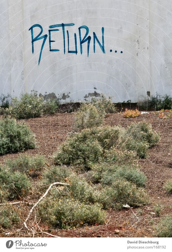 Alles auf Anfang Farbfoto Außenaufnahme Tag Kontrast Zentralperspektive Pflanze Gras Beton Schriftzeichen zurück Wand Mauer Wort Englisch Typographie