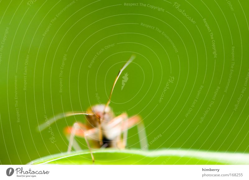 flohrian Farbfoto mehrfarbig Außenaufnahme Nahaufnahme Detailaufnahme Makroaufnahme Textfreiraum links Textfreiraum rechts Textfreiraum oben Textfreiraum unten