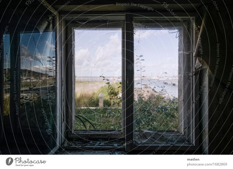 Transzendenz I Ferien Landschaft Pflanze Himmel Sommer Schönes Wetter Gras Kleinstadt Menschenleer Haus Ruine Fenster alt dunkel blau grau grün schwarz