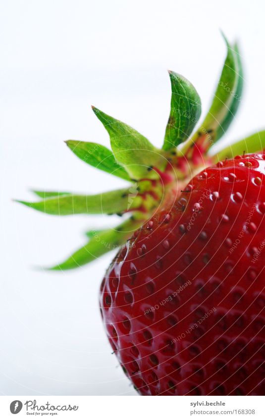 sooooo lecker! Frucht exotisch frisch Gesundheit saftig süß grün rot weiß Appetit & Hunger Leben Erdbeeren Samen fruchtig Fruchtfleisch Bildausschnitt Farbfoto