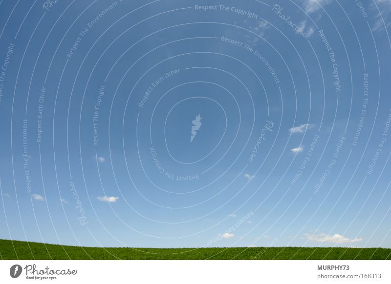 Das Blau des Himmels und das Grün des Grases... Farbfoto Außenaufnahme Menschenleer Textfreiraum links Textfreiraum rechts Textfreiraum oben Textfreiraum unten