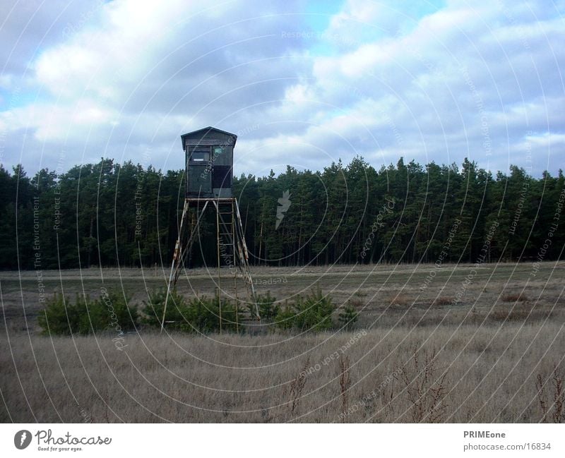 Jägerstand Natur Jagd Hütte