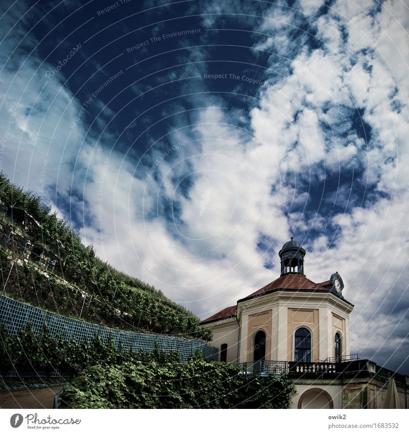 Pavillon Umwelt Natur Landschaft Pflanze Himmel Wolken Schönes Wetter Nutzpflanze Weinberg Weinbau Weingut Gebäude ästhetisch historisch fleißig elegant Idylle