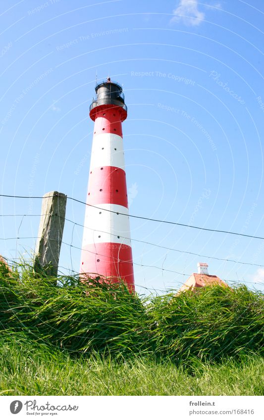 Westerhever Leuchtturm Farbfoto Außenaufnahme Tag Froschperspektive Ferien & Urlaub & Reisen Tourismus Ausflug Sightseeing Natur Landschaft Himmel