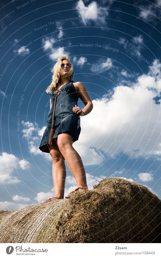 lena in heaven Farbfoto Außenaufnahme Kontrast Stil Landschaft Himmel Wolken Sommer Feld Mode Bekleidung Kleid Sonnenbrille blond stehen ästhetisch Coolness