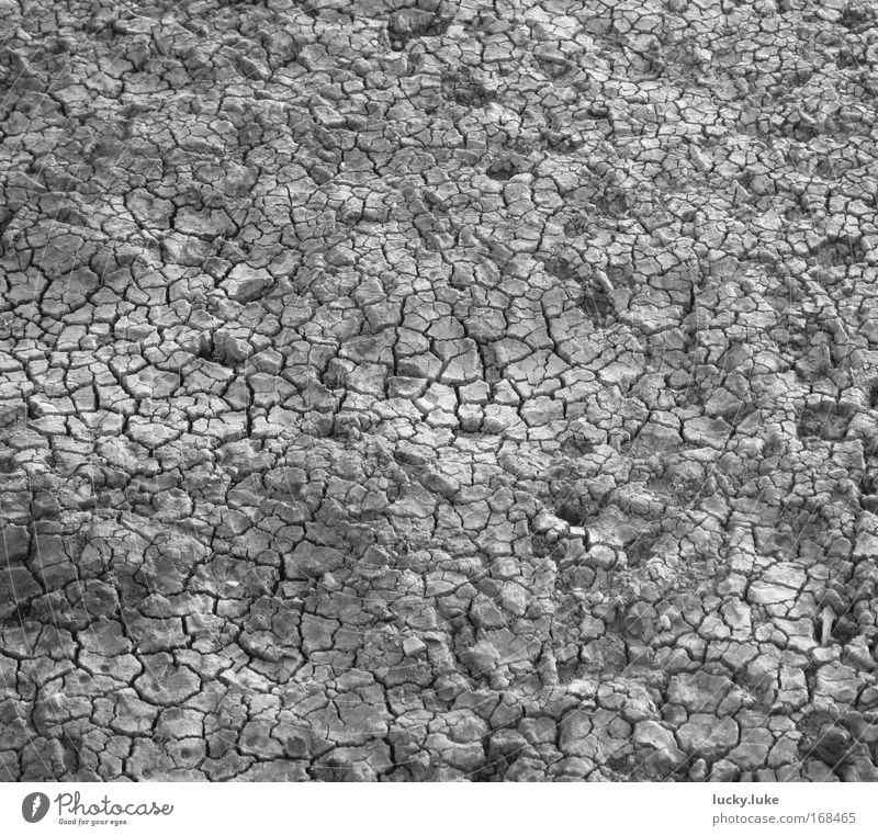 Ausgetrockneter Seegrund Schwarzweißfoto Außenaufnahme Nahaufnahme Strukturen & Formen Menschenleer Hintergrund neutral Tag Schatten Kontrast Vogelperspektive