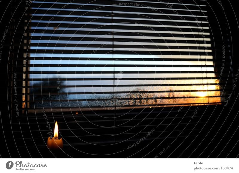 Gegenlicht Farbfoto Abend Dämmerung Sonnenlicht Sonnenaufgang Sonnenuntergang Häusliches Leben Wohnung Wohnzimmer Fenster Luft Wassertropfen Himmel