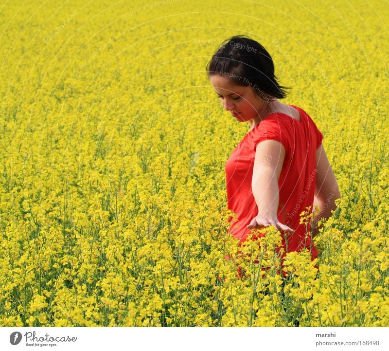 gefühltes Gelb Freizeit & Hobby Ferien & Urlaub & Reisen Mensch feminin Frau Erwachsene 1 Natur Landschaft Frühling Sommer Pflanze Blume Wiese genießen Blick