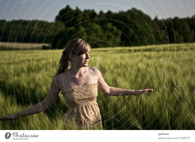 feldgefühle Vol. 1 Ausflug Freiheit Sommer feminin Junge Frau Jugendliche Haut Haare & Frisuren Mensch 18-30 Jahre Erwachsene Umwelt Natur Landschaft Pflanze