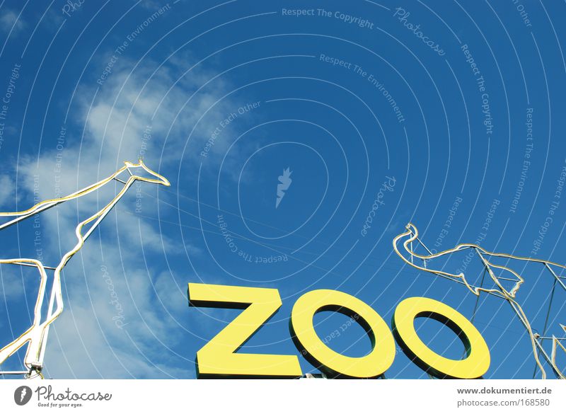 giraffe vs. elefant Farbfoto Außenaufnahme Menschenleer Tag Sonnenlicht Tier Zoo Giraffe Elefant 2 Schriftzeichen Schilder & Markierungen Hinweisschild