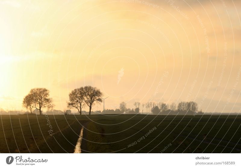 Stullenbrett Außenaufnahme Menschenleer Abend Dämmerung Sonnenstrahlen Erholung ruhig Landschaft Himmel Sonnenaufgang Sonnenuntergang Wiese Feld Küste genießen