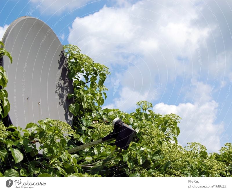 Salatschüssel Medienbranche Fernseher Satellitenantenne Satellitenstation Technik & Technologie Unterhaltungselektronik Fortschritt Zukunft Telekommunikation