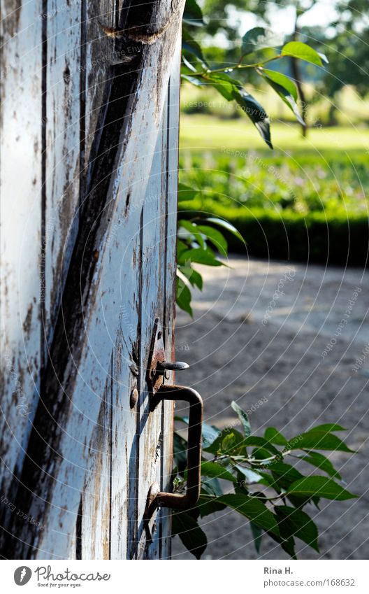 Ausblick Sommer Garten Fröhlichkeit frisch Glück blau grün Stimmung Zufriedenheit Frühlingsgefühle Vorfreude Romantik Erholung ländlich Landleben Neugier