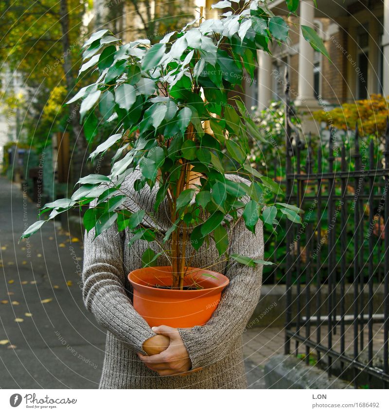 wo bin ich Mensch feminin Junge Frau Jugendliche 18-30 Jahre Erwachsene Pflanze Baum Blatt Grünpflanze Blumentopf Topfpflanze stehen tragen grün Verantwortung