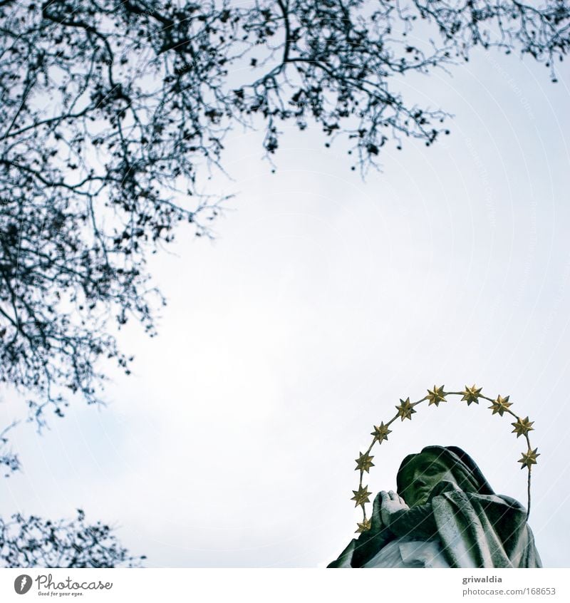 holy mary? Farbfoto Gedeckte Farben Außenaufnahme Menschenleer Textfreiraum rechts Textfreiraum Mitte Tag Froschperspektive Blick nach oben Frau Erwachsene Kopf