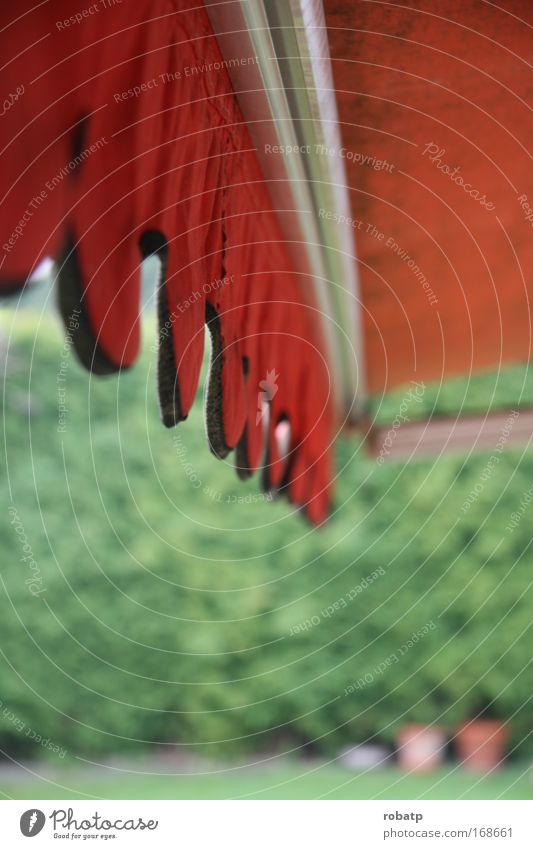 Alte Markise Farbfoto Außenaufnahme Menschenleer Tag Starke Tiefenschärfe Zentralperspektive Sommer Garten Pflanze Topfpflanze Terrasse Erholung